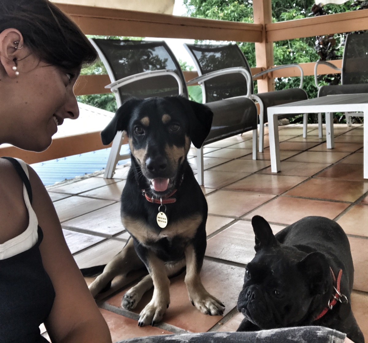 Luisa avec ses deux chiens sur la terrasse